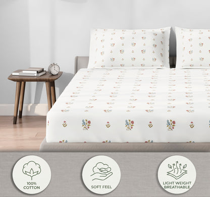 Spaces Aeris Cream Floral 100% Cotton 144 TC Queen Fitted Sheet
