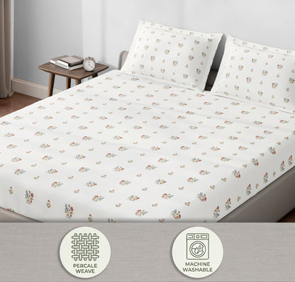 Spaces Aeris Cream Floral 100% Cotton 144 TC Queen Fitted Sheet