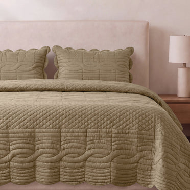 Spaces Scallop Brown Solid 100% Cotton Double Coverlet with 2 Pillow Covers - 87 x 106 Inches