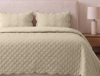 Spaces Scallop Beige Solid 100% Cotton Double Coverlet with 2 Pillow Covers - 87 x 106 Inches