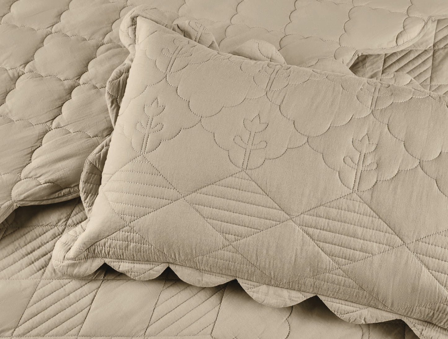 Spaces Scallop Beige Solid 100% Cotton Double Coverlet with 2 Pillow Covers - 87 x 106 Inches