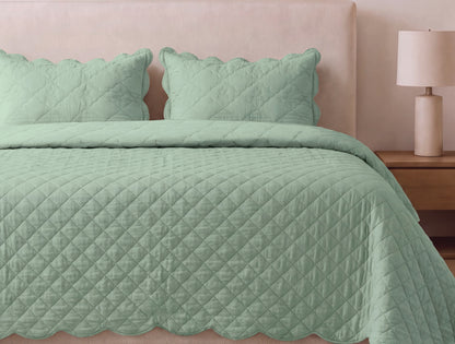 Spaces Scallop Green Solid 100% Cotton Double Coverlet with 2 Pillow Covers - 87 x 106 Inches