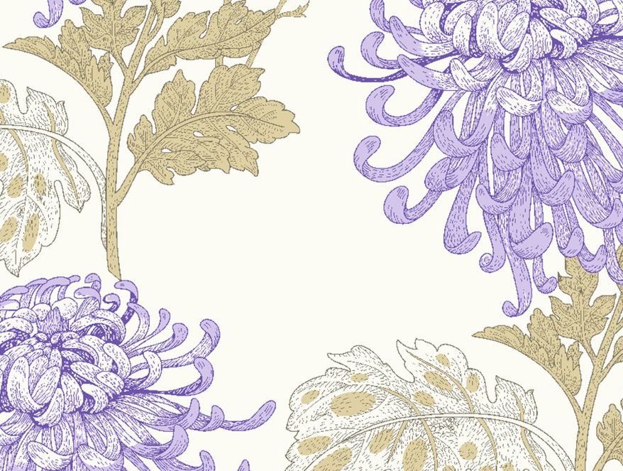 Floral Purple 100% Cotton Double Bedsheet - Atrium By Spaces