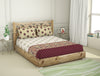 Ornate Beige 100% Cotton Double Bedsheet - Atrium Plus By Spaces