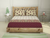 Ornate Beige 100% Cotton Double Bedsheet - Atrium Plus By Spaces