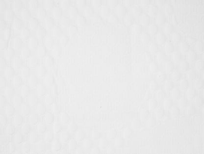 Solid White Polyester Queen Mattress Protector - Softshield By Spaces