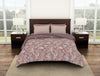 Floral Candy Pink - Pink 100% Cotton Shell Double Quilt / AC Comforter - Reagalis By Spaces